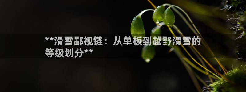 星欧娱乐平台怎么样啊