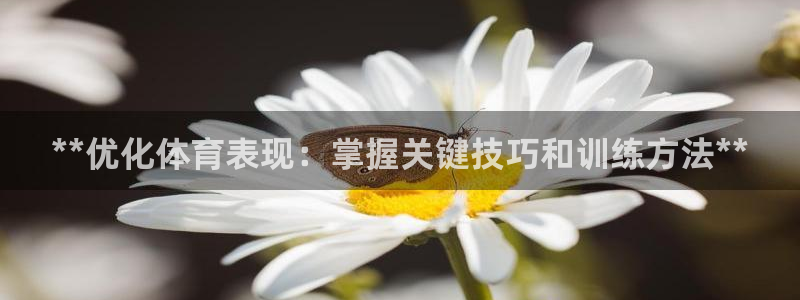 星欧娱乐彩票软件下载安卓