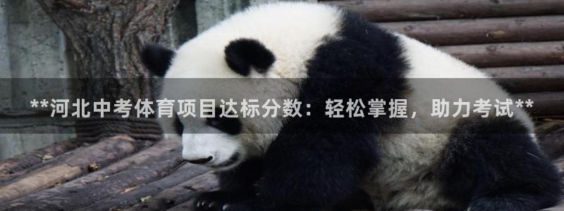 星欧娱乐公司电话号码查询