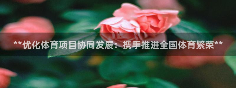 星欧娱乐游戏中心官网登录