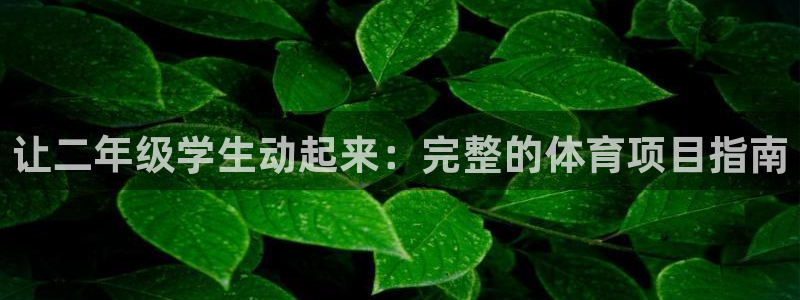 星奥娱乐集团