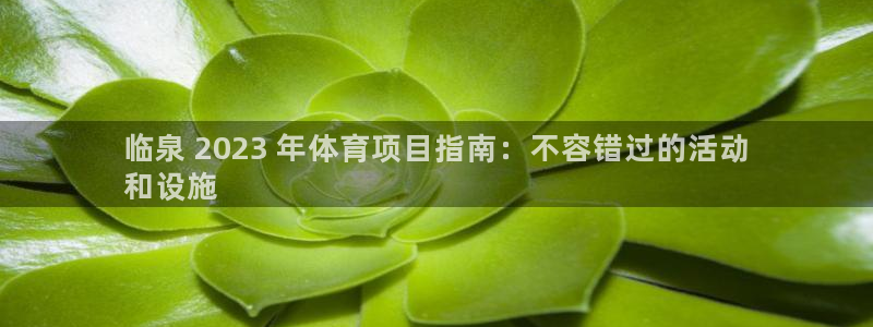 星欧娱乐属于什么档次的软件公司