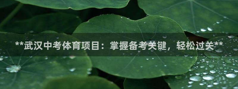 星欧娱乐公司地址