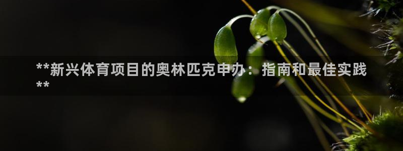 星奥娱乐招聘
