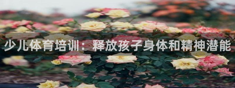 星欧娱乐官网首页下载