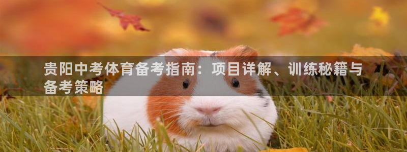 星欧娱乐公司电话号码