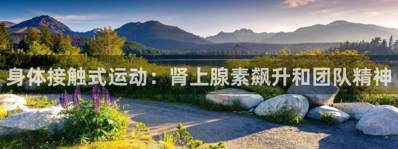 星娱乐是谁的公司