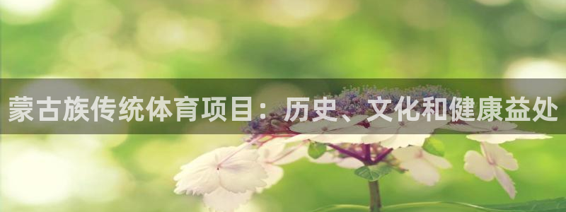 星欧娱乐官方客服联系方式电话