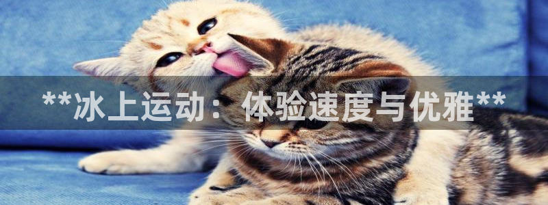 星欧娱乐扣款时间查询方法怎么查不了