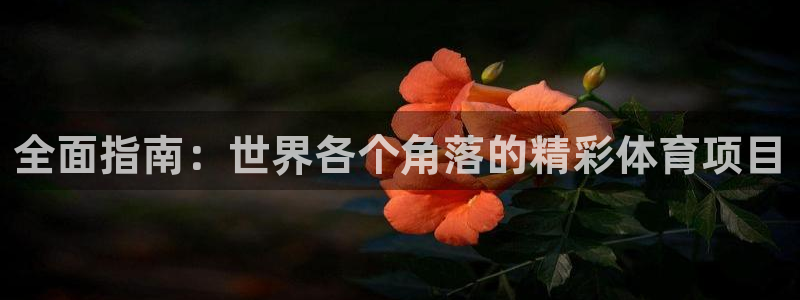 江苏星奥娱乐有限公司招聘