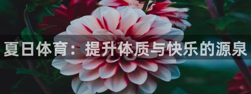星欧娱乐公司创始人背景故事是什么