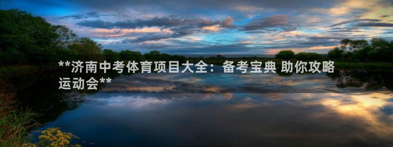 星欧娱乐平台测速线路怎么设置