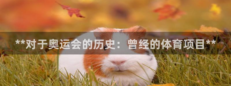 星欧娱乐最建议买的三个产品有哪些呢