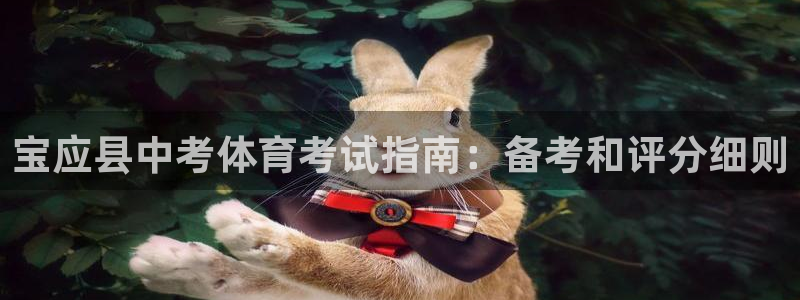 星欧娱乐的创始人背景故事是什么