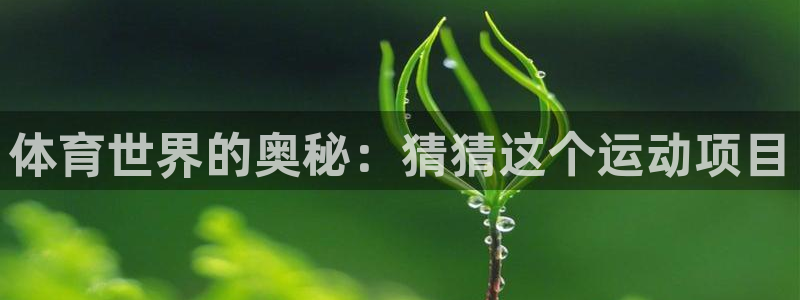 星欧娱乐巴711.112扣费记录查询方法