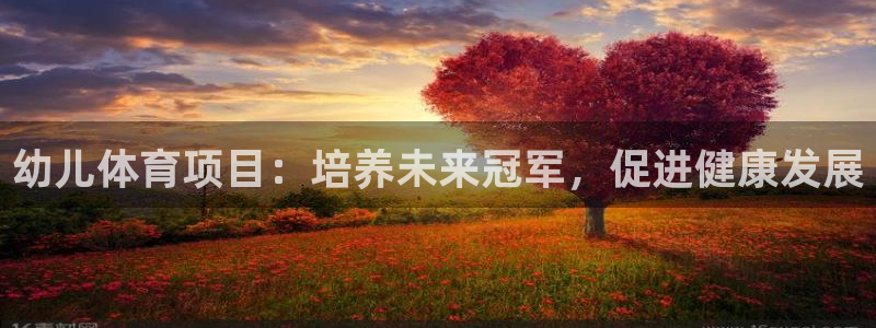 星欧娱乐最建议买的三个产品是