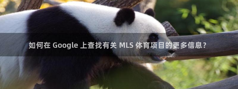 星欧娱乐和嫲薇他的区别是什么