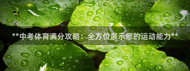 星奥娱乐集团股份有限公司官网