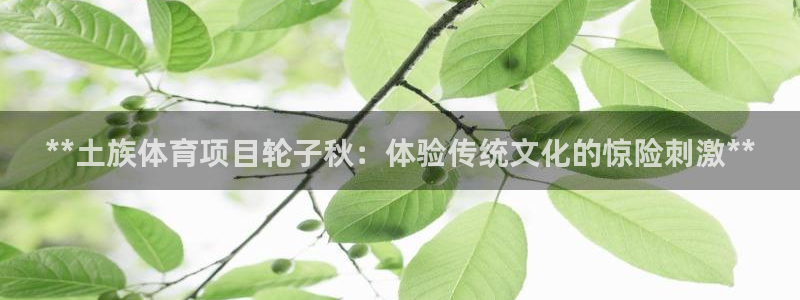 星欧娱乐最建议买的三个游戏是什么