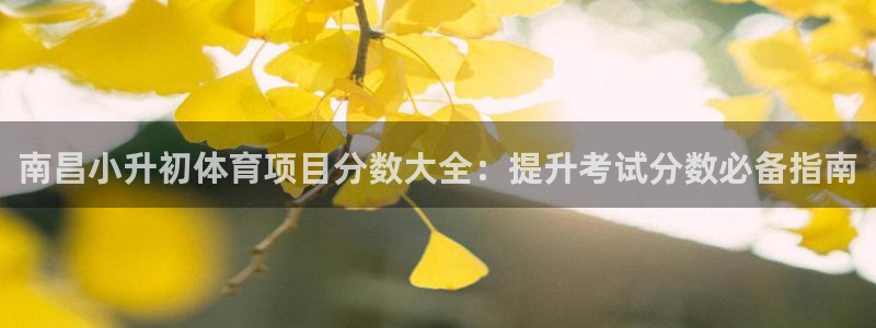 星澳娱乐公司怎么样