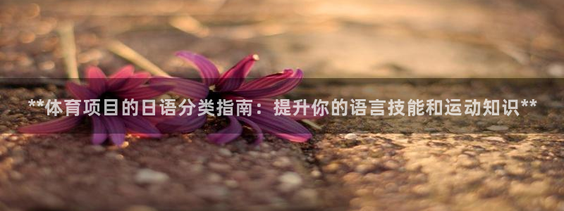 星欧娱乐法711.112怎么扣钱