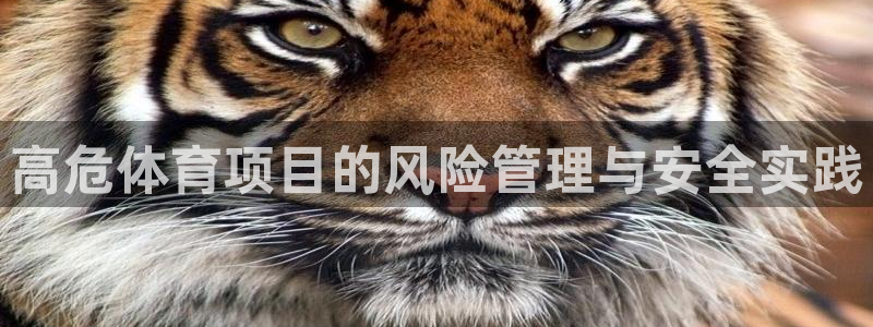星欧娱乐官网