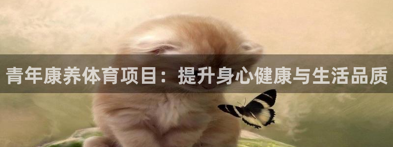 星欧娱乐是什么品牌
