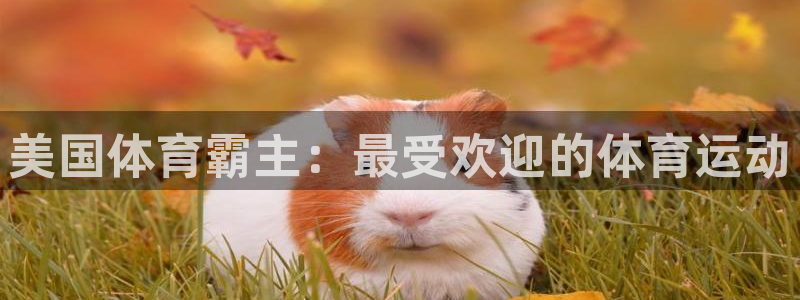 星欧娱乐官网下载安卓