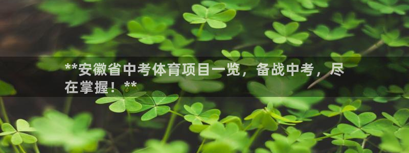 星欧娱乐公司创始人背景故事介绍