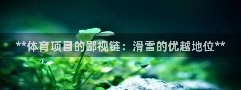 星欧娱乐属于什么档次的公司名称