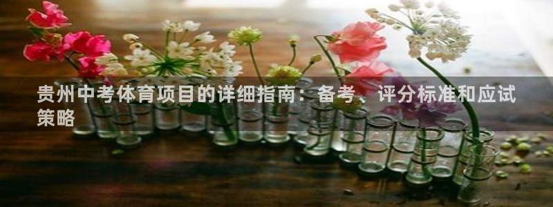 星欧娱乐伐官网注册