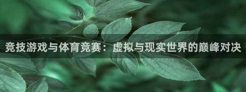星欧娱乐扣款流程详解图高清
