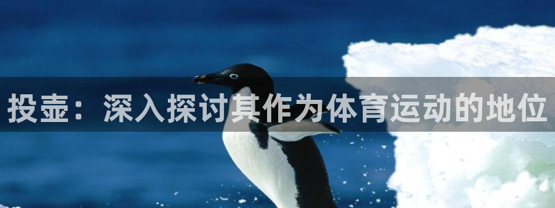 星欧娱乐扣款时间查询方法怎么查不了