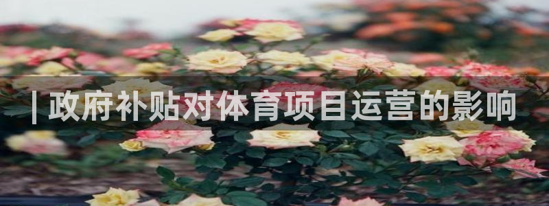 星欧娱乐彩票软件下载安装