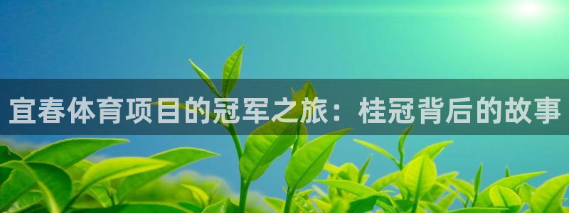 星奥娱乐招聘