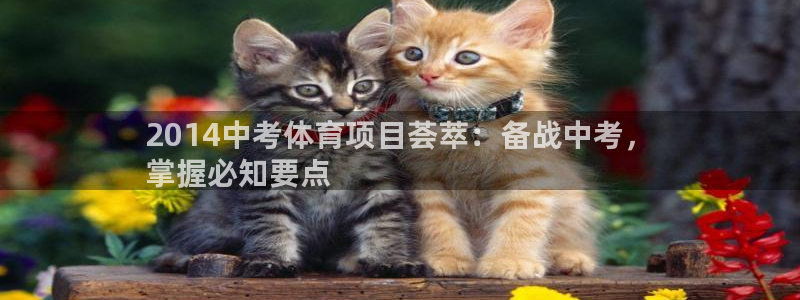 星欧娱乐最建议买的三个游戏