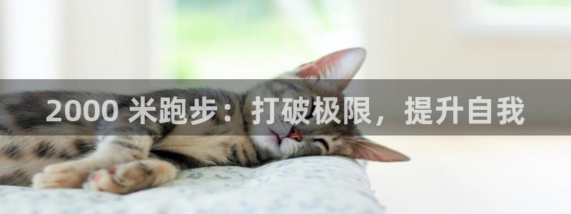 星欧娱乐的创始人背景故事介绍