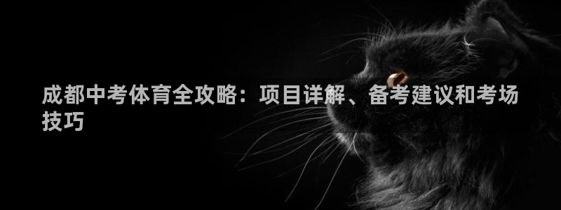 星欧娱乐公司创始人背景故事介绍