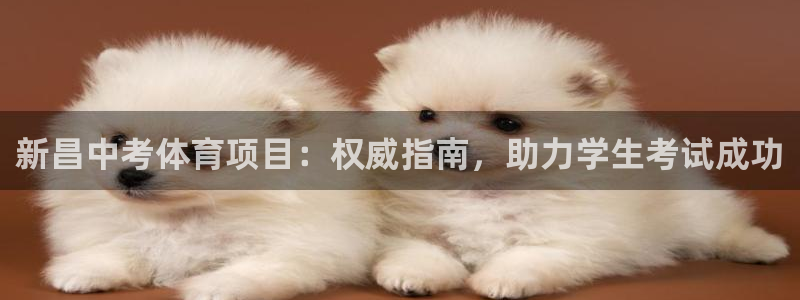 星娱乐包月业务是什么