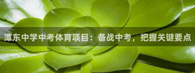 星欧娱乐扣款流程详解视频播放