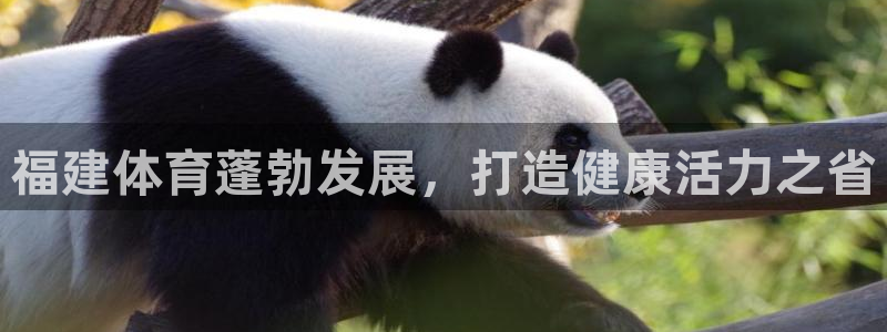 星奥娱乐集团股份有限公司