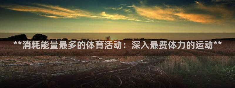 星欧娱乐挂机赚钱软件