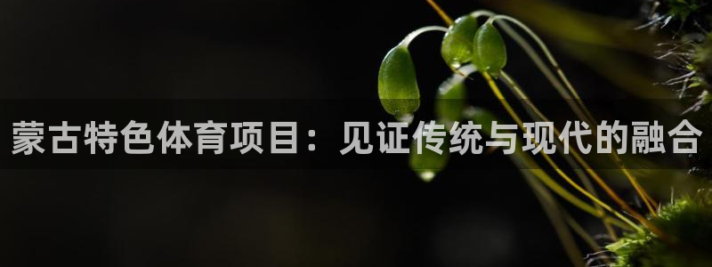 星欧娱乐平台怎么样可靠吗知乎