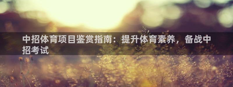 星欧娱乐扣款时间查询方法