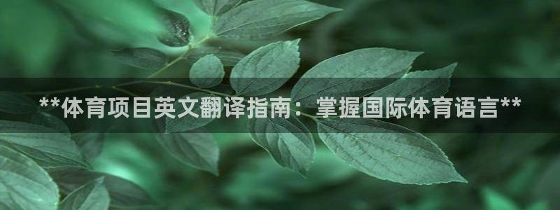 江苏星奥娱乐招艺人
