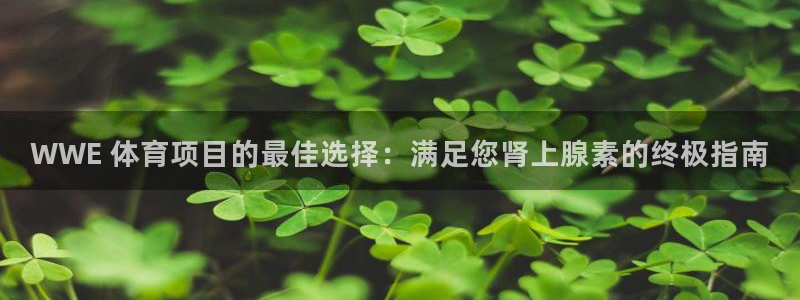 江苏星奥娱乐有限公司怎么样