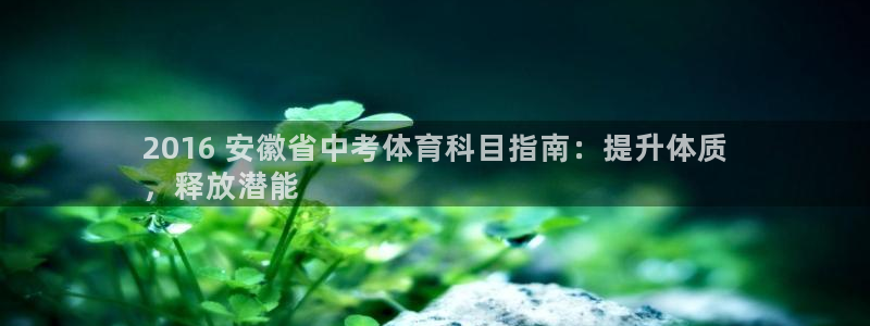 星奥娱乐集团股份有限公司官网