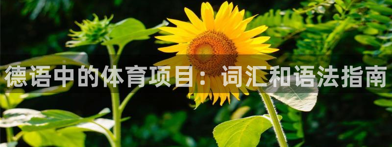 星欧娱乐联售后服务评价