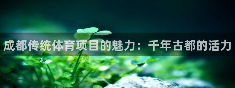 星欧娱乐平台怎么样啊