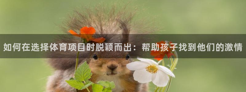 星欧娱乐属于什么档次